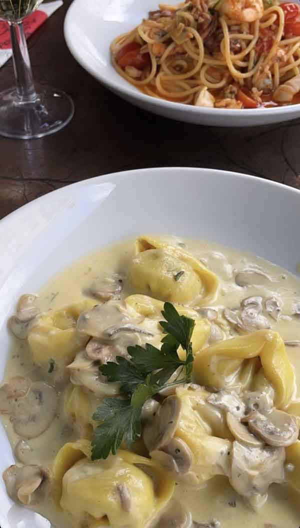 طرز تهیه پاستا آلفردو رستورانی فیلم طرز تهیه پاستا آلفردو رستورانی طرز تهیه پاستا رستورانی پاستا آلفردو نی نی سایت طرز تهیه پاستا آلفردو برای ۴ نفر طرز تهیه پاستا آلفردو بدون پنیر پارمسان طرز تهیه پاستا آلفردو با پنیر پیتزا پاستا چیکن آلفردو