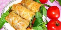 راز خوشمزگی دلمه کلم و سس دلمه کلم و خوشمزه ترین دلمه کلم