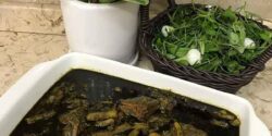 راز خوشمزگی خورشت کنگر با مرغ تهرانی و شیرازی و کرمانشاهی