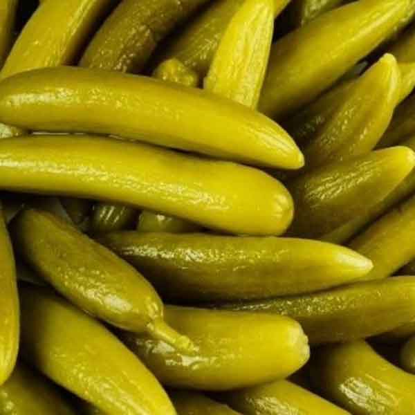 طرز تهیه خیارشور خانگی ترد و خوشمزه طرز تهیه خیارشور بدون سبزی طرز تهیه خیارشور خانگی با ماندگاری بالا طرز تهیه خیارشور دبه ای فوت و فن خیارشور نی نی سایت طرز تهیه خیار شور خیارشور فوری یک ساعته خیار شور خانگی