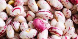 راز خوشمزگی لوبیا چیتی و ادویه خوراک لوبیا چیتی و علت سیاه شدن آن