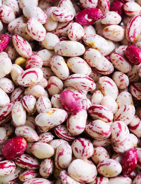 راز خوشمزه شدن خوراک لوبیا نی نی سایت طرز تهیه لوبیا چیتی مجلسی ادویه خوراک لوبیا طرز تهیه کنسرو لوبیا چیتی خوشمزه ادویه خوراک لوبیا چیتی علت سیاه شدن لوبیا چیتی خوراک لوبیا چیتی خوشمزه ادویه خوراک لوبیا چیتی با قارچ