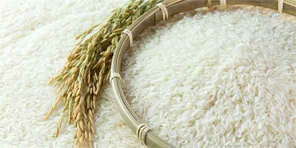 برنج تایلندی را چگونه دم کنیم عوارض برنج تایلندی نی نی سایت طرز پخت برنج تایلندی ابکش عکس برنج تایلندی برنج هومالی درجه یک برنج بره نشان تایلندی نحوه تولید برنج تایلندی از بین بردن بوی برنج تایلندی