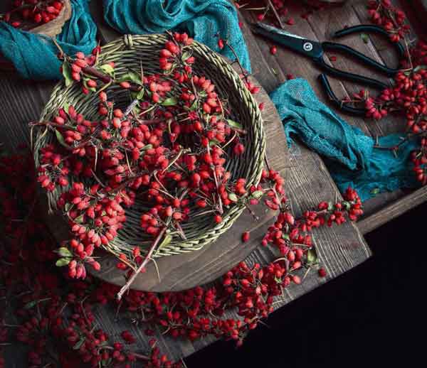 راز خوشمزگی مرغ مجلسی نی نی سایت فوت و فن خوشمزه شدن مرغ راز خوشمزه شدن زرشک پلو با مرغ نی نی سایت طرز تهیه زرشک رستورانی ادویه برای خوشمزه شدن مرغ ادویه زرشک پلو نذری فوت و فن زرشک پلو با مرغ طرز تهیه زرشک پلو با مرغ با هویج و فلفل دلمه