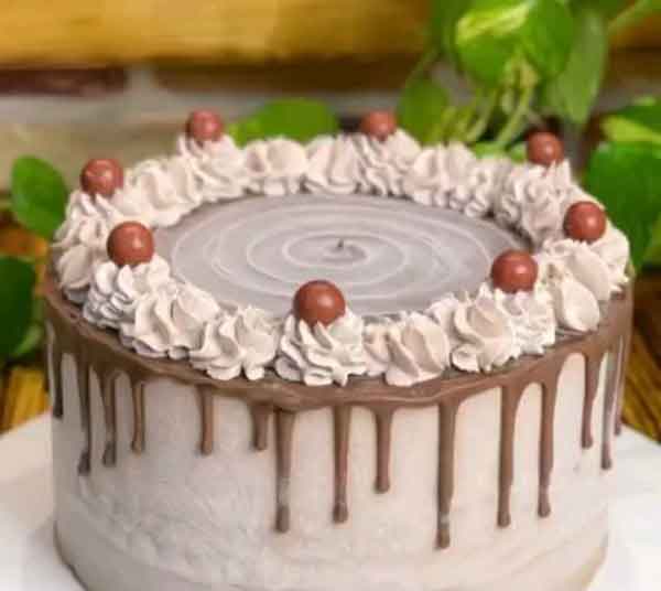 کیک بستنی فوری طرز تهیه کیک بستنی کافی شاپی کیک بستنی یخچالی طرز تهیه کیک بستنی لایه ای طرز تهیه کیک بستنی در اشپزخانه کوچک من طرز تهیه کیک بستنی با تی تاب