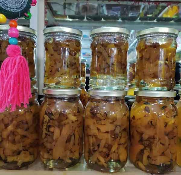 مربای شقاقل دیجی کالا مربای شقاقل شمال مربای شقاقل را از کجا تهیه کنیم طرز تهیه مربای شقاقل طب سنتی خواص مربای شقاقل قیمت مربای شقاقل