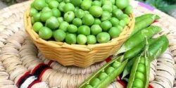راز خوشمزگی کنسرو نخود فرنگی و نکات تهیه کنسرو نخود فرنگی خانگی