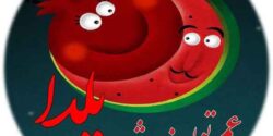 عکس پروفایل یلدا + با دیدن این تصاویر زیبا قطعا عکس پروفایلت را تغییر می دی