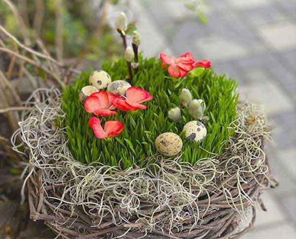 مدل سبزه عید زیباترین و قشنگ ترین ایده ها برای تزیین و کاشت سبزه عید
