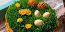 مدل سبزه عید + زیباترین و قشنگ ترین ایده ها برای تزیین و کاشت سبزه عید