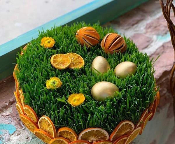 مدل سبزه عید زیباترین و قشنگ ترین ایده ها برای تزیین و کاشت سبزه عید