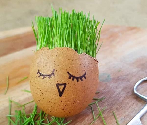 مدل سبزه عید زیباترین و قشنگ ترین ایده ها برای تزیین و کاشت سبزه عید