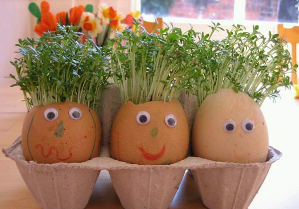 مدل سبزه عید زیباترین و قشنگ ترین ایده ها برای تزیین و کاشت سبزه عید