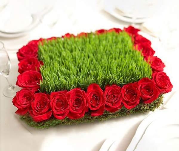 مدل سبزه عید زیباترین و قشنگ ترین ایده ها برای تزیین و کاشت سبزه عید