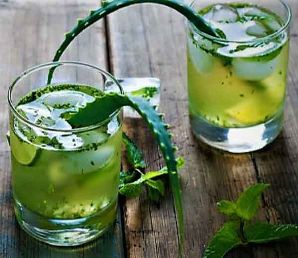 شربت آلوورا برای چی خوبه طرز تهیه شربت آلوورا تصویری طرز تهیه شربت آلوورا نی نی سایت طرز تهیه شربت آلوورا با شکر عوارض شربت آلوورا طرز تهیه شربت آلوورا کارخانه ای طرز تهیه مربا و شربت آلوورا شربت آلوورا برای لاغری