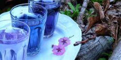 راز خوشمزگی شربت گل پنیرک و فوت و فن شربت گل پنیرک خوشمزه و خانگی