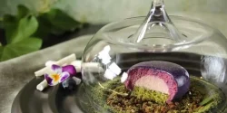 مدل ظرف کیک + 15 نمونه از زیباترین ظورف برای کیک و شیرینی