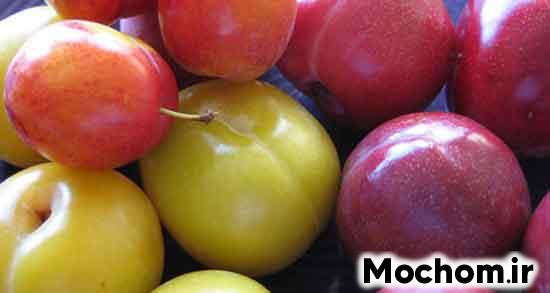 تعبیر خواب آلو زرد تعبیر خواب آلو حضرت یوسف تعبیر خواب آلو خشک تعبیر خواب آلو برای دختر مجرد تعبیر خواب آلو سیاه امام صادق تعبیر خواب آلو سیاه برای دختر مجرد تعبیر خواب آلو سرخ تعبیر خواب آلو سیاه خشک