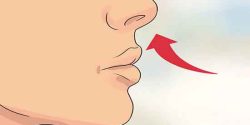 تعبیر خواب بینی و درآوردن دماغ از بینی امام صادق و ابن سیرین و بزرگ شدن بینی