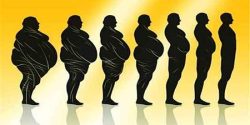 تعبیر خواب چاقی و چاق شدن دیگری برای دختر مجرد امام صادق و حضرت یوسف