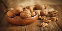 تعبیر خواب گردو از حضرت یوسف و خوردن امام صادق و گردو سبز و تازه با پوست