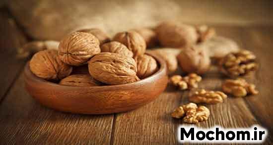 تعبیر خواب گردو از حضرت یوسف تعبیر خواب گردو خوردن امام صادق تعبیر خواب گردو سبز امام صادق تعبیر خواب گردو تازه تعبیر خواب گردو با پوست خشک تعبیر خواب گردو گرفتن از مادر تعبیر خواب مغز گردو سفید تعبیر خواب گردو شکستن و خوردن