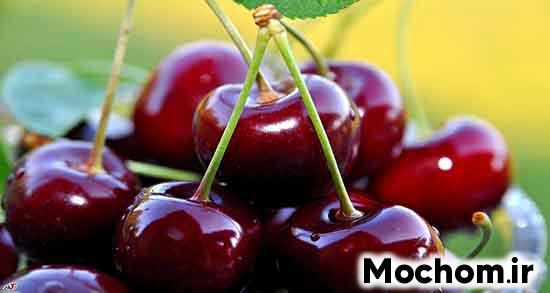 تعبیر خواب گیلاس برای دختر مجرد تعبیر خواب گیلاس برای زن متاهل تعبیر خواب گیلاس حضرت یوسف تعبیر خواب گیلاس چیدن امام صادق تعبیر خواب گیلاس گرفتن از دیگران تعبیر خواب گیلاس قرمز تعبیر خواب خوردن گیلاس از درخت تعبیر خواب گیلاس درشت