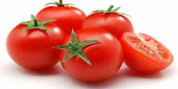 تعبیر خواب گوجه فرنگی برای زن متاهل و دختر مجرد امام صادق و حضرت یوسف