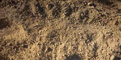 تعبیر خواب خاک حضرت یوسف برای دختر مجرد و خاک زیاد و گل شده روی سر