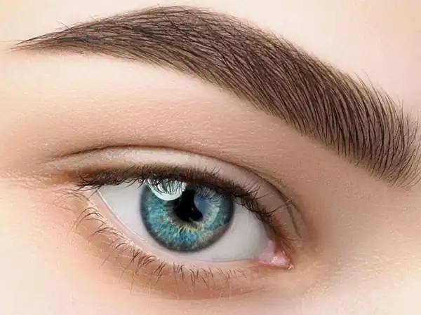 مدل ابرو جدید +  قشنگ ترین مدل های ابرو مناسب همه نوع فرم صورت