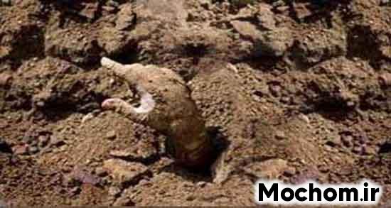 تعبیر خواب مرده در قبر گذاشتن تعبیر خواب مرده امام صادق تعبیر خواب جنازه های زیاد روی زمین تعبیر خواب فرد مرده را زنده دیدن تعبیر خواب دیدن جنازه با کفن تعبیر خواب دیدن جنازه با کفن در خانه تعبیر خواب بیرون آمدن مرده از قبر تعبیر خواب جنازه در کفن سفید