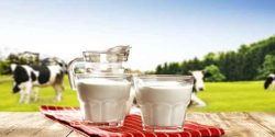 تعبیر خواب شیر خوردنی از حضرت یوسف برای دختر مجرد و شیر خواستن مرده از زنده