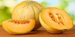 تعبیر خواب طالبی حضرت یوسف برای دختر مجرد و طالبی گرفتن و خربزه