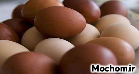 تعبیر خواب تخمه مرغ برای زن متاهل تعبیر خواب تخمه مرغ حضرت یوسف تعبیر خواب تخم مرغ زیاد تعبیر خواب تخمه مرغ از امام صادق تعبیر خواب تخم مرغ برای دختر مجرد تعبیر خواب تخمه مرغ خام برای زن تعبیر خواب تخم مرغ چهار زرده تعبیر خواب تخم مرغ بزرگ