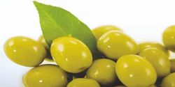 تعبیر خواب زیتون برای دختر مجرد و زیتون سبز ابن سیرین و زیتون گرفتن از مرده