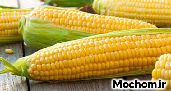 تعبیر خواب ذرت حضرت یوسف تعبیر خواب ذرت برای دختر مجرد تعبیر خواب ذرت برای زن متاهل تعبیر خواب ذرت خشک تعبیر خواب ذرت برای زن باردار تعبیر خواب بلال امام صادق تعبیر خواب ذرت بو داده برای دختر مجرد تعبیر خواب ذرت مکزیکی