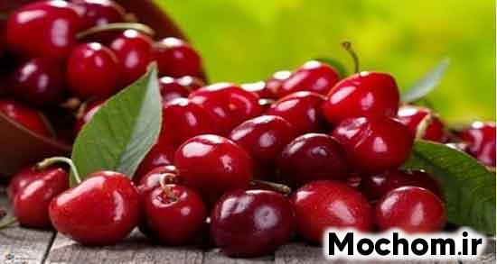 تعبیر خواب آلبالو حضرت یوسف تعبیر خواب آلبالو برای دختر مجرد تعبیر خواب چیدن آلبالو امام صادق تعبیر خواب آلبالو برای زن باردار نی نی سایت تعبیر خواب آلبالو خشک تعبیر خواب آلبالو نی نی سایت تعبیر خواب آلبالو چیدن تعبیر خواب آب آلبالو گرفتن