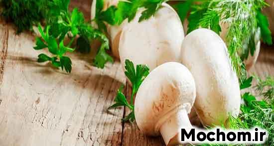 تعبیر خواب قارچ دراوردن از زمین تعبیر خواب قارچ سفید امام صادق تعبیر خواب قارچ سفید زیاد تعبیر خواب قارچ پوستی تعبیر خواب قارچ چیدن برای دختر مجرد تعبیر خواب چیدن قارچ یوسف پیامبر تعبیر خواب قارچ کوهی تعبیر خواب قارچ سفید برای دختر مجرد
