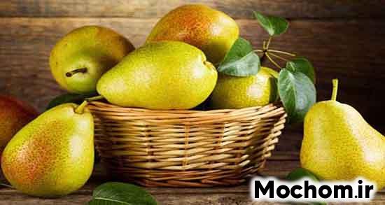 تعبیر خواب گلابی امام صادق تعبیر خواب گلابی برای دختر مجرد تعبیر خواب گلابی حضرت یوسف تعبیر خواب درخت گلابی امام صادق تعبیر خواب گلابی برای زن متاهل تعبیر خواب درخت گلابی پر بار تعبیر خواب گرفتن گلابی از دیگران تعبیر خواب چیدن گلابی زرد از درخت