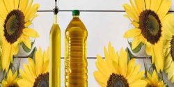 تعبیر خواب روغن امام صادق و حضرت یوسف و روغن مایع برای دختر مجرد و جامد