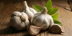 تعبیر خواب سیر از امام صادق و حضرت یوسف و سیر ترشی و سیر تازه
