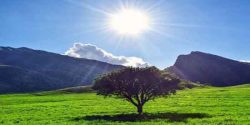 تعبیر خواب صبح زن تعبیر دارد + ساعت 6 صبح و آیا خواب بعد از اذان صبح تعبیر دارد