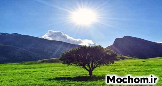 خواب صبح زن تعبیر دارد تعبیر خواب بعد از ظهر در اسلام تعبیر خواب ساعت ۶ صبح آیا خواب بعد از اذان صبح تعبیر دارد نی نی سایت تعبیر خواب بعد از نماز صبح تعبیر خواب ساعت 7 تا 8 صبح علت خواب دیدن در صبح تعبیر خواب ساعت 7 صبح