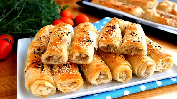 راز خوشمزگی بورک مرغ و فوت و فن بورک مرغ خوشمزه و خانگی