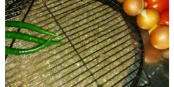 راز خوشمزگی کباب کوبیده در توری و فوت و فن کباب کوبیده در توری خوشمزه و خانگی