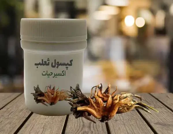 کپسول ثعلب + خواص و کاربرد و بهترین زمان مصرف و عوارض آن