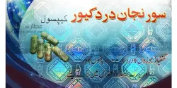 کپسول سورنجان + خواص و کاربرد و بهترین زمان مصرف و عوارض آن