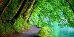 تعبیر خواب بهشت + معنی رفتن به بهشت در خواب چیست