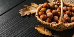 تعبیر خواب فندق + معنای فندق و خوردن فندق در خواب چیست