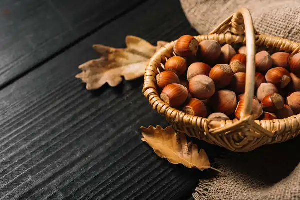 تعبیر خواب فندق + معنای فندق و خوردن فندق در خواب چیست